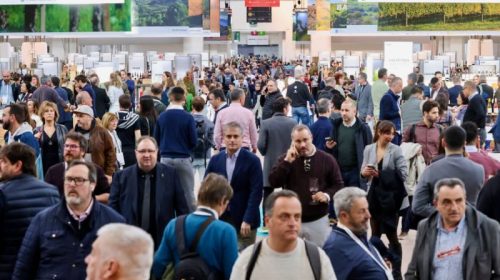 BarcelonaWineWeek