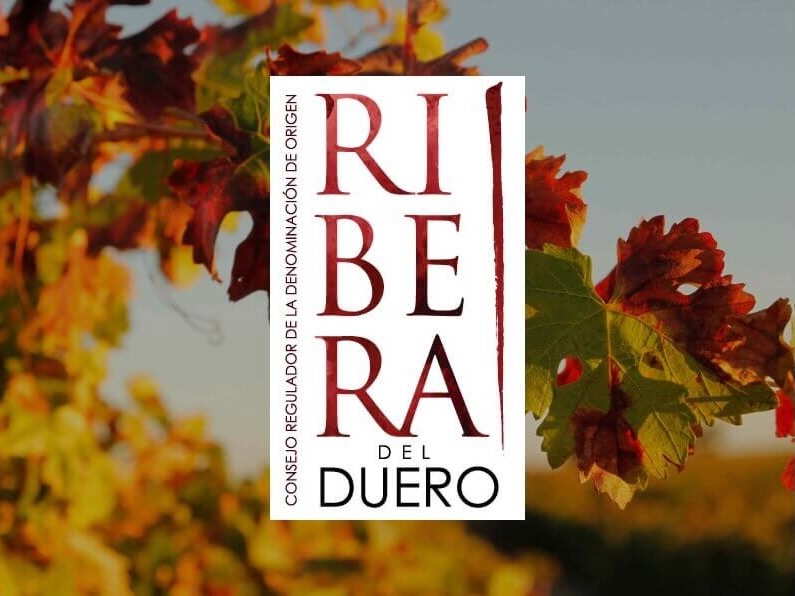 DO_Ribera-del-Duero-ventas-2025