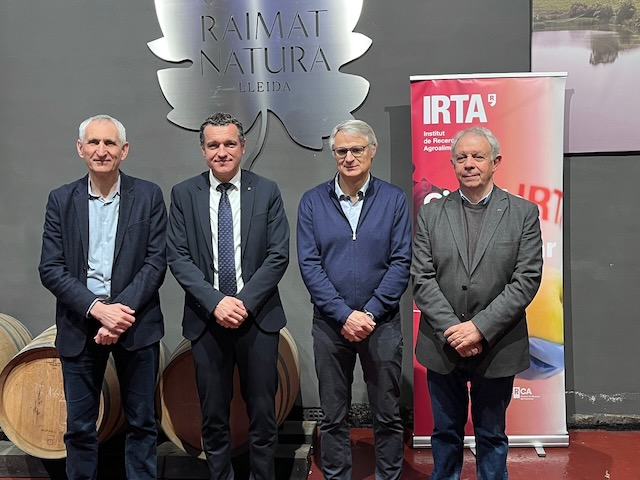 Irta-Reventos-Codorniu-Raimat-25-anys