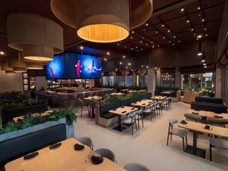 Udon Asian Food cierra 2025 facturando 57,6 millones de euros.